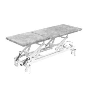 PTM2 Hospital Electronic Elevating Medical Treatment Bed
